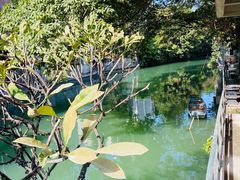 -小洲村