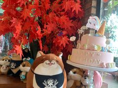 -柴犬高等学院·狗咖·柴犬售卖·宠物训练