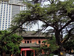 -南京钟山宾馆(江苏省会议中心)