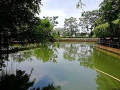 -侯臣咖啡文化村