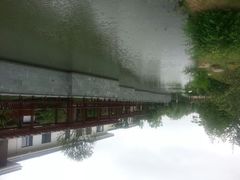 -上海浦东康桥绿地假日酒店