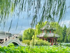 -莲池书院博物馆