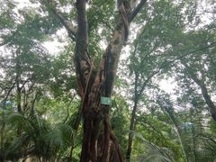 -丰都鬼城名山景区