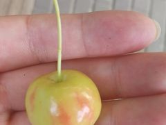 -滇越乘象云南餐厅(次渠店)