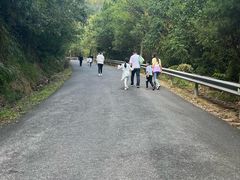 -东天目山风景区