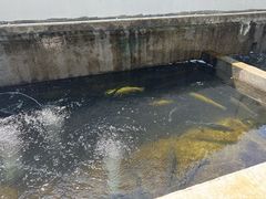 -何适山庄 ·可团建(水长城P2停车场店)