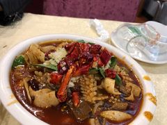 毛血旺-奥华餐厅·老张记(台基厂店)