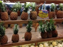 -乐乐鲜果水果超市(河北店)