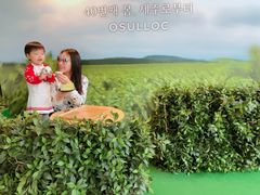 -雪绿茶博物馆