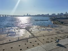 -星海广场