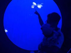 -成都浩海立方海洋公园