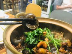 -食爺炭炉鸡煲·烧烤