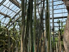 -南山植物园