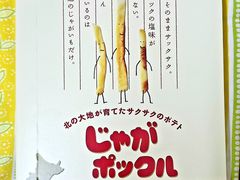 -中部国际机场