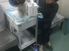 -美联众合爱康动物医院•复杂内科•肿瘤科•牙科•腔镜诊疗中心
