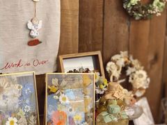 -知物癖(牛王庙店)