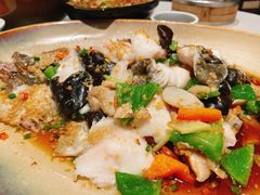 蒜蓉多宝鱼-清水蘭軒