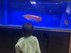 -唐宴(大唐购物中心店)