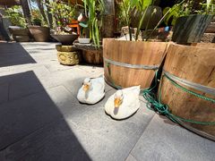 -小小饭店·休闲农庄·安吉松树林里的农家菜