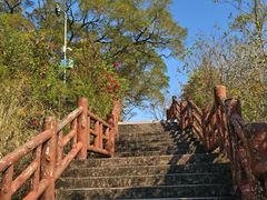-广州莲花山旅游区