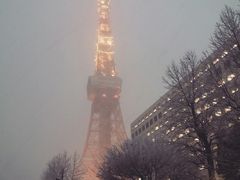 -东京塔海贼王主题公园