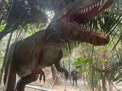 -呀路古热带植物园