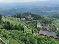 -紫鹊界梯田景区