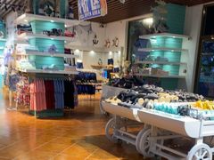 -泉城欧乐堡水上世界