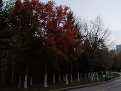 -长春世界雕塑园冰雪艺术天地