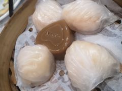 金牌虾饺皇-赏点粤式点心(广州塔店)