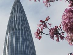-深圳人才公园