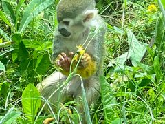 -青藏高原野生动物园