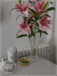 -丹漪·DANYI 美肤中心