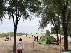 -东郊湿地公园
