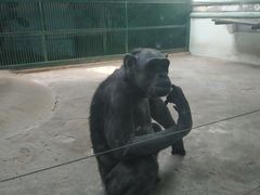 -石家庄市动物园