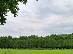 -宜兴龙背山森林公园