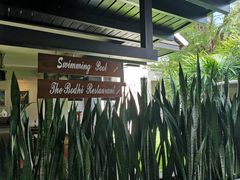 -清迈菩提塞雷纳