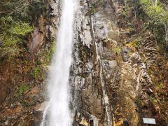 -姑婆山旅游区