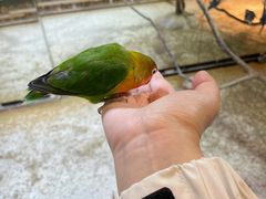 -上海大自然野生昆虫馆(东方明珠·爬宠昆虫探索中心)