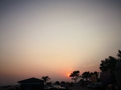 -合肥滨湖国家森林公园