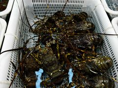 -都斛海鲜街
