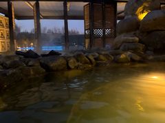 -春晖园度假酒店温泉