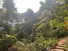 -武吉知马自然保护区