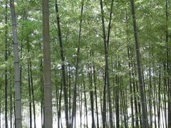 -游子山休闲旅游区