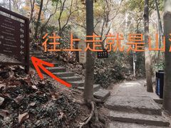 -上海佘山国家森林公园天马山园