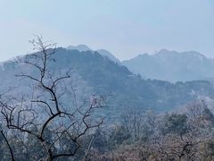 -泰山风景名胜区