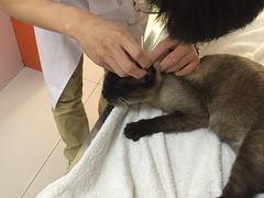 -惠康宠物医院(华能路店)