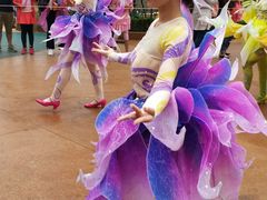 -七彩云南欢乐世界