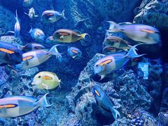 -成都浩海立方海洋公园