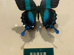 -陕西自然博物馆